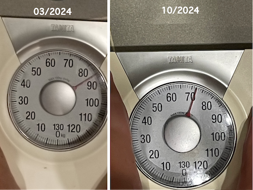My Weight Progress in 2024
